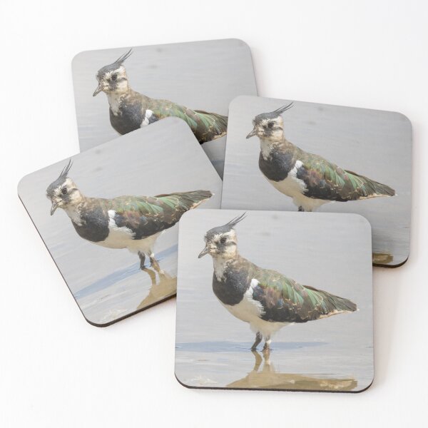 Item preview, Northern Lapwing designed and sold by LaurenTucker.