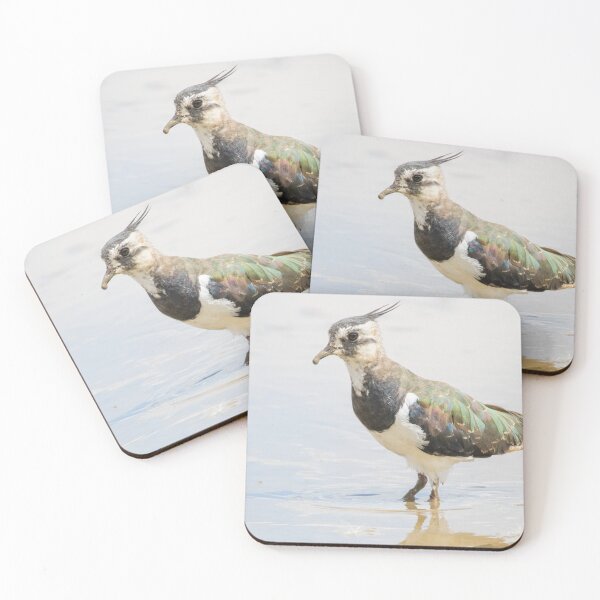 Item preview, Northern Lapwing designed and sold by LaurenTucker.
