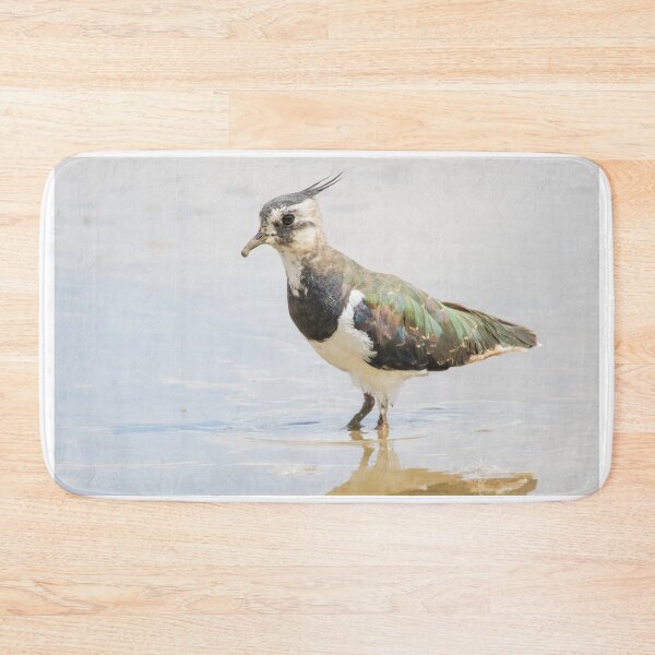 Item preview, Northern Lapwing designed and sold by LaurenTucker.