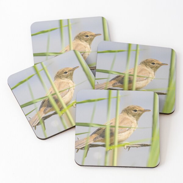 Item preview, Common Reed Warbler designed and sold by LaurenTucker.