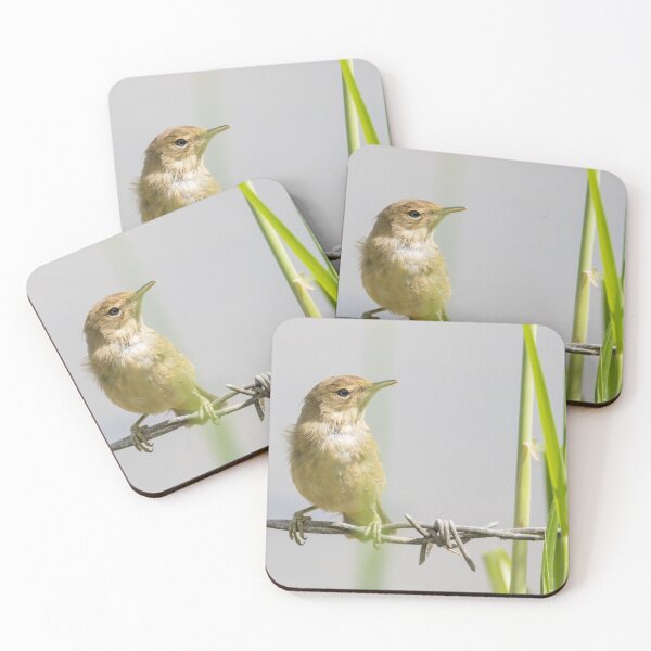Item preview, Common Reed Warbler designed and sold by LaurenTucker.