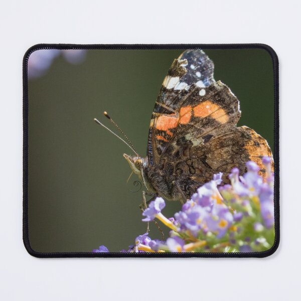 Item preview, Red Admiral designed and sold by LaurenTucker.
