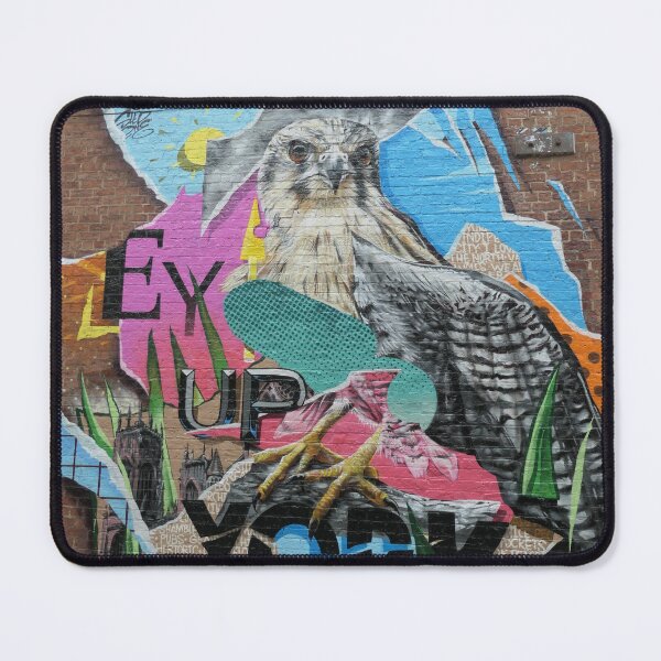 Item preview, Bird Of Prey Mural York England designed and sold by Malcolm Snook.