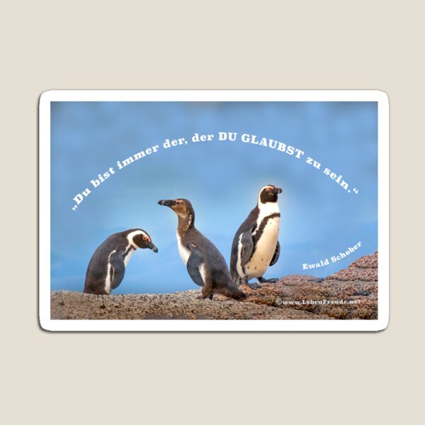 What you believe, you are – Penguins & Self-Image Quote Magnet