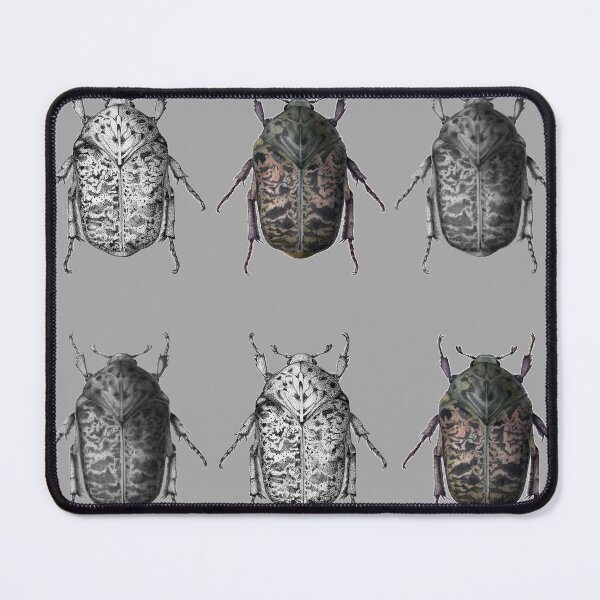 Item preview, Gymnetis Trio designed and sold by Ivona Maris.