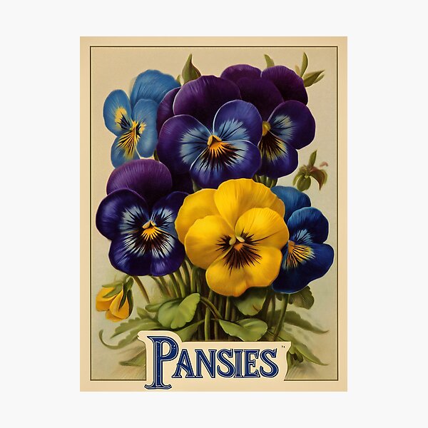 Item preview, Vintage Pansies Seed Packet Advertising designed and sold by Boddicca.