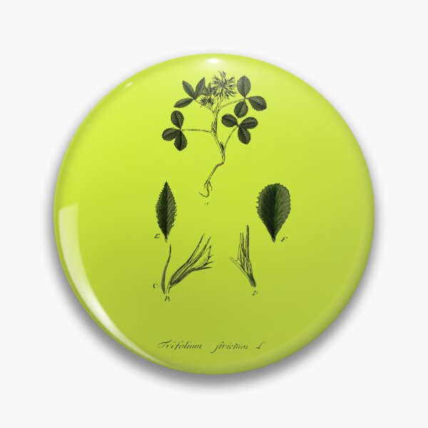 Item preview, Clover Illustration – Botanical Art designed and sold by MaPerle.