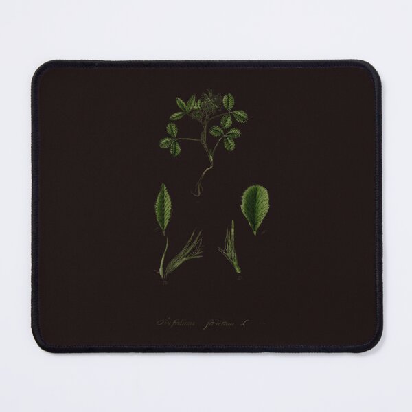 Item preview, Clover Illustration – Botanical Art designed and sold by MaPerle.