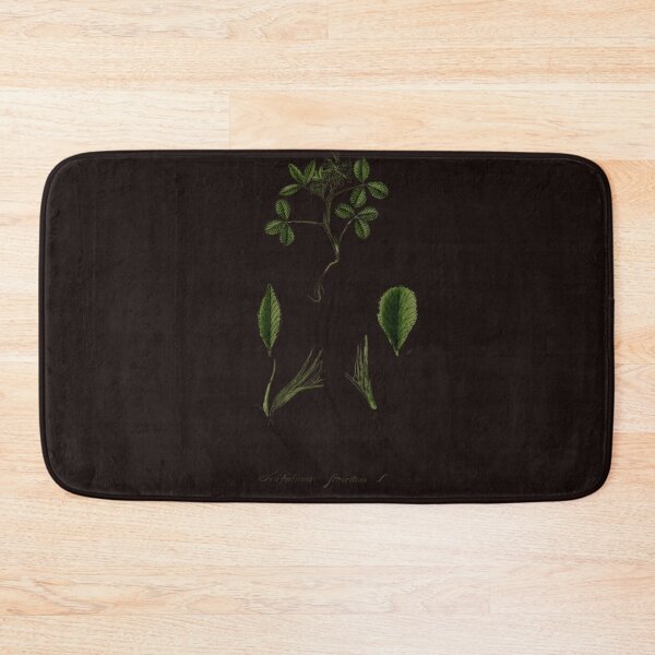 Item preview, Clover Illustration – Botanical Art designed and sold by MaPerle.