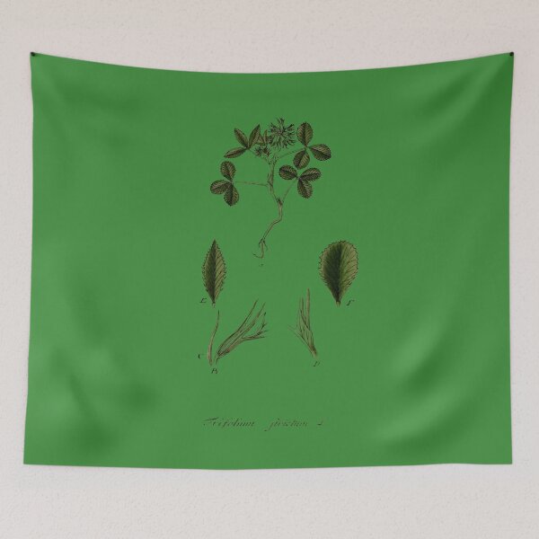 Item preview, Clover Illustration – Botanical Art designed and sold by MaPerle.