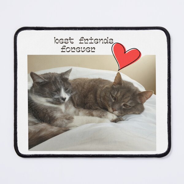 Item preview, Best Friends Forever. Funny Gifts For People Who Love Cats. designed and sold by Dinasshop.