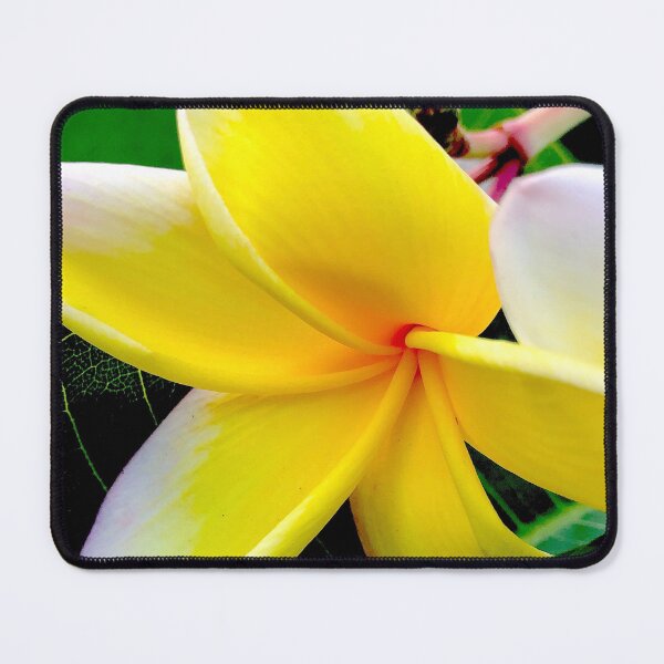 Item preview, Island’s First Kiss designed and sold by Jonathan Dow Art.