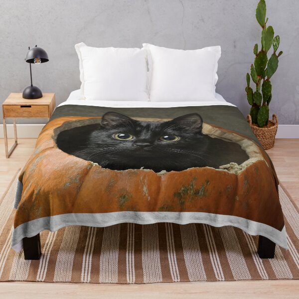 Item preview, A cat in a pumpkin designed and sold by sheptonian.