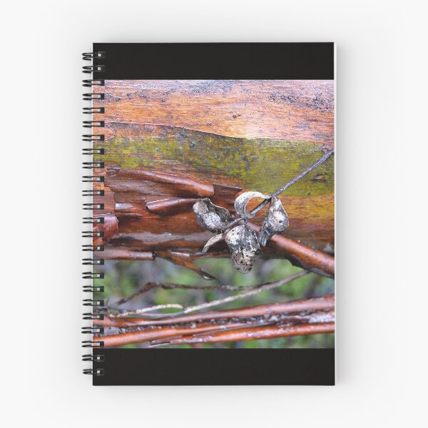 Item preview, Coloured Tree Trunk, Cradle Mountain, Tasmania, Australia. designed and sold by kaysharp.