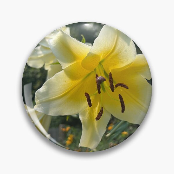 Item preview, Yellow lily designed and sold by Lauracolleen3.