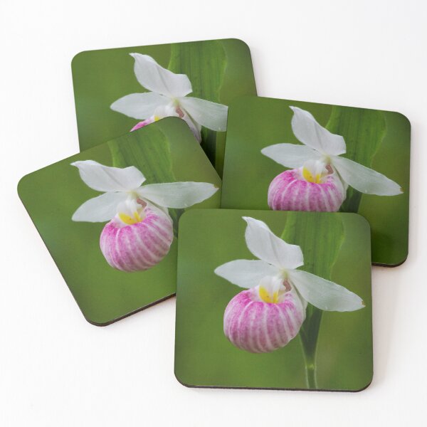 Item preview, Showy Pink Ladyslipper Orchid designed and sold by debfaraday.