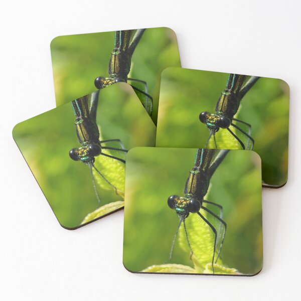 Item preview, Tiny Predator designed and sold by Emily Noyes.