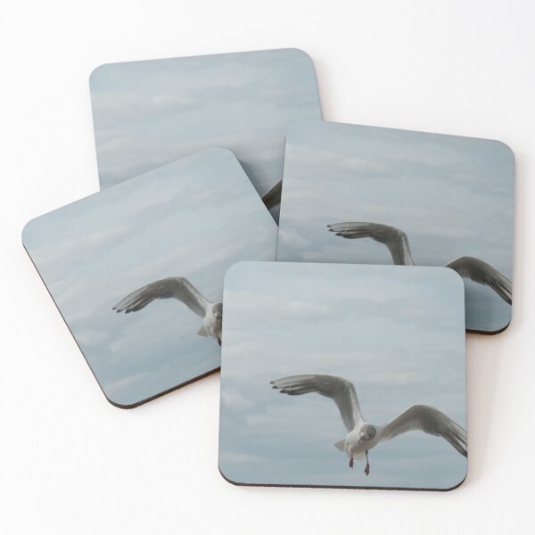 Item preview, Black Headed Gull In Flight designed and sold by Malcolm Snook.