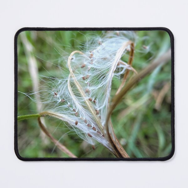 Item preview, Fringed Willowherb designed and sold by Emily Noyes.