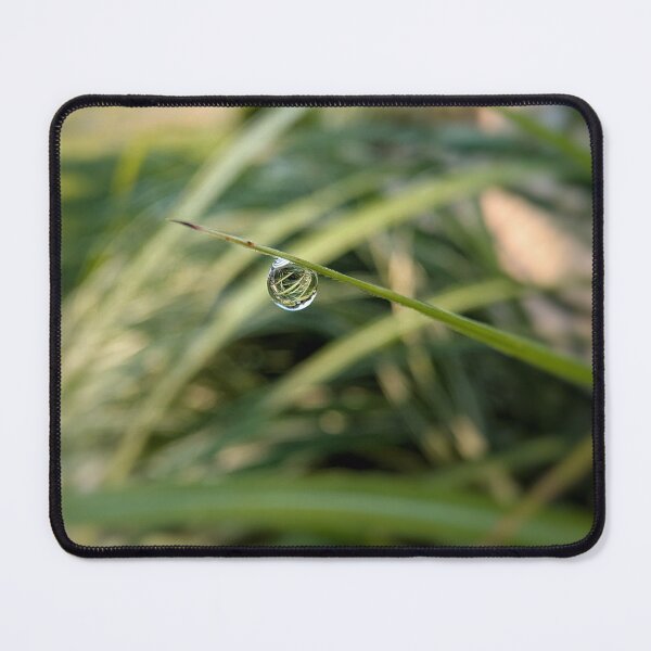 Item preview, Suspension designed and sold by Emily Noyes.