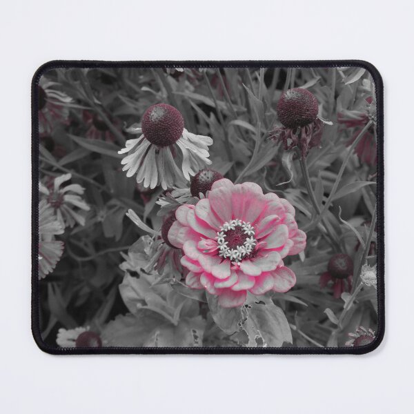 Item preview, Zinnia designed and sold by Malcolm Snook.