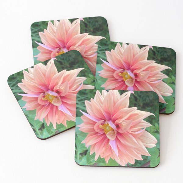 Item preview, Blush designed and sold by Smitty Petalz.