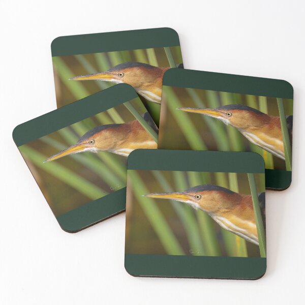 Item preview, Least Bittern  designed and sold by Shannon Emmel .