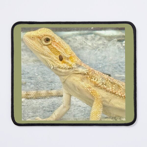 Item preview, Bearded Dragon by ElitebyElise designed and sold by ElitebyElise.