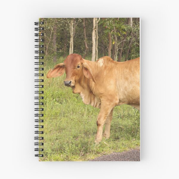 Item preview, Brahman Greeting designed and sold by Storm Wolf Photography .
