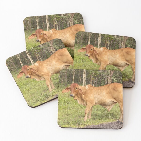 Item preview, Brahman Greeting designed and sold by Storm Wolf Photography .