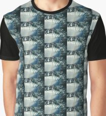 Flying Over Icy Niagara Falls Graphic T-Shirt