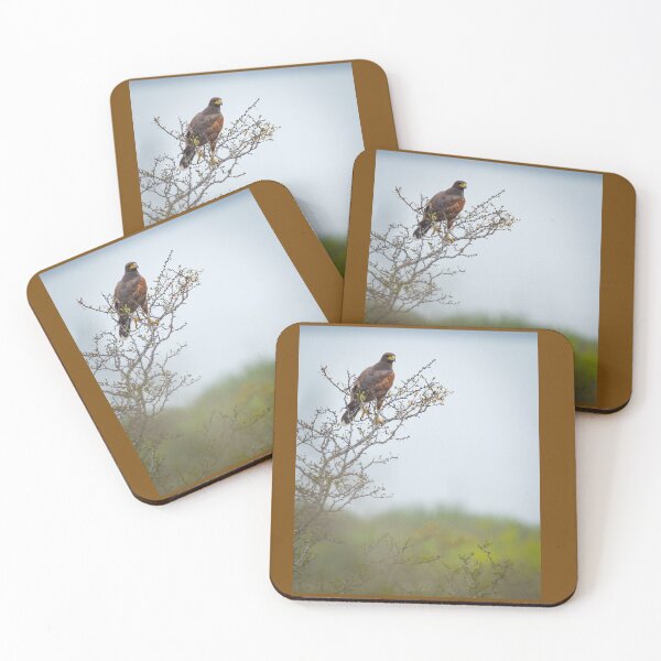 Item preview, Harris's Hawk Perched on a tree designed and sold by Shannon Emmel .