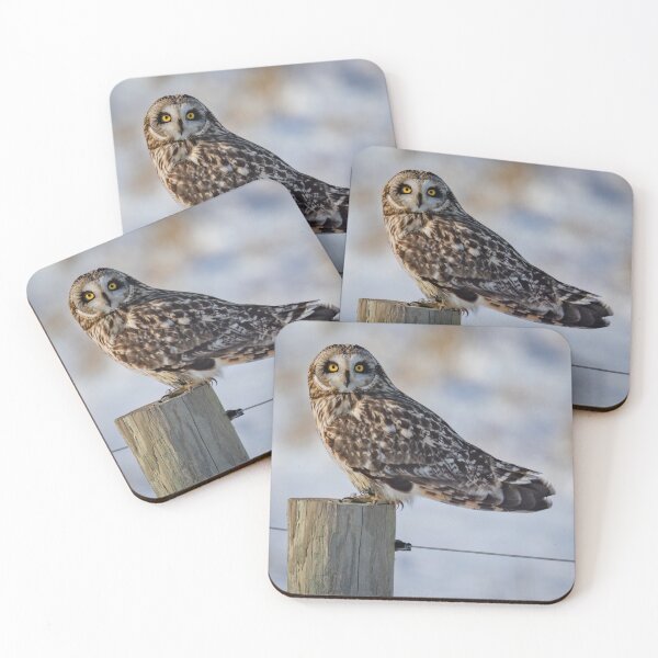Item preview, Short-eared owl poses on a fence designed and sold by Shannon Emmel .