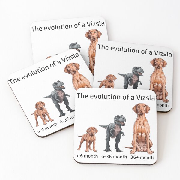 Item preview, The Evolution of a Vizsla designed and sold by Ranout.