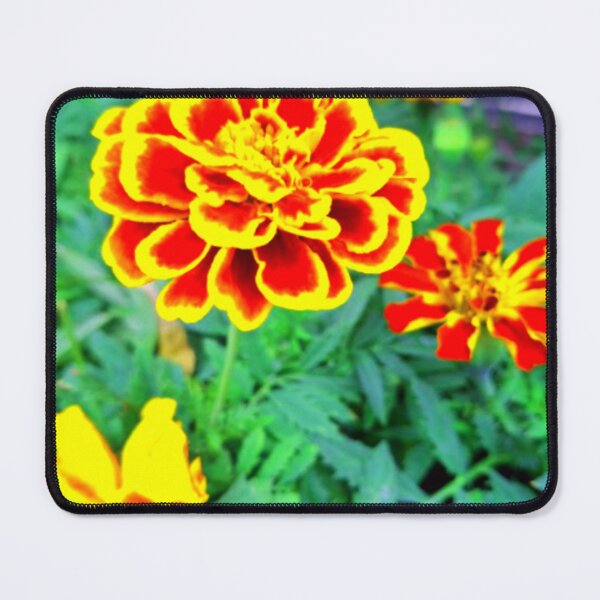 Item preview, Flowers 1 In Fluorescence Photo Design designed and sold by SmashingDeals.