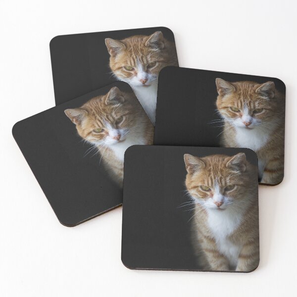 Item preview, Mr. Meow meow designed and sold by Oak-and-Bracken.