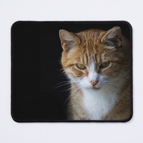 Item preview, Mr. Meow meow designed and sold by Oak-and-Bracken.