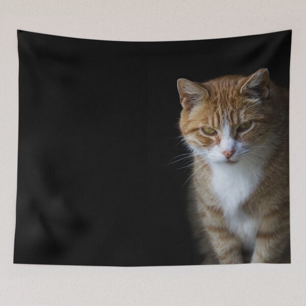 Item preview, Mr. Meow meow designed and sold by Oak-and-Bracken.