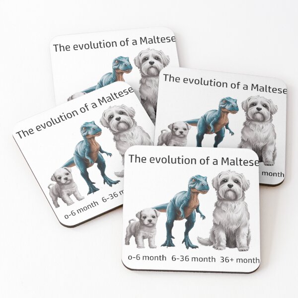 Item preview, The Evolution of a Maltese designed and sold by Ranout.