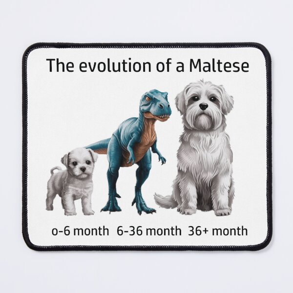 Item preview, The Evolution of a Maltese designed and sold by Ranout.