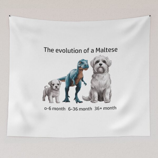 Item preview, The Evolution of a Maltese designed and sold by Ranout.