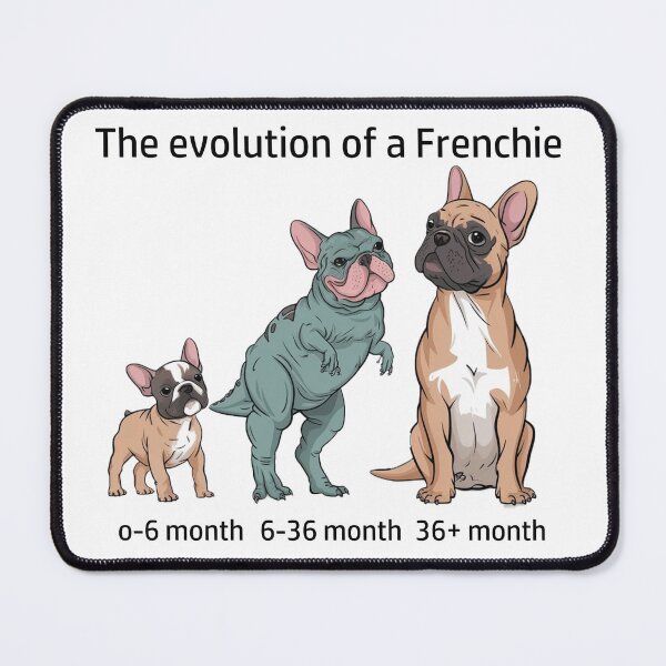 Item preview, The Evolution of a Frenchie designed and sold by Ranout.