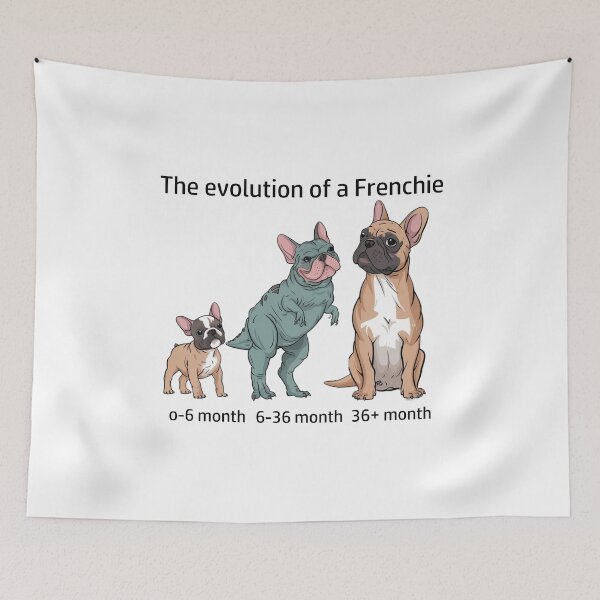 Item preview, The Evolution of a Frenchie designed and sold by Ranout.