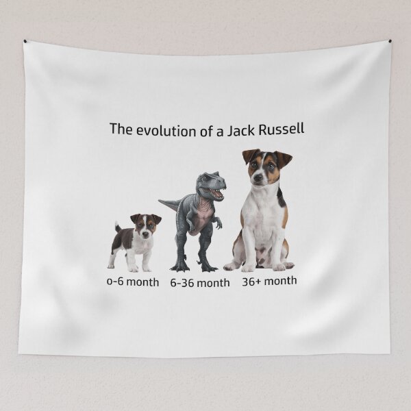 Item preview, The Evolution of a Jack Russell Terrier designed and sold by Ranout.