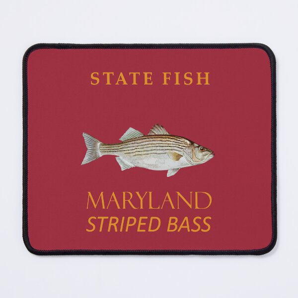 Item preview, Maryland Territory Fish The Striped Bass designed and sold by taiche.