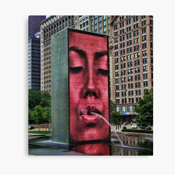 Face Me Canvas Print