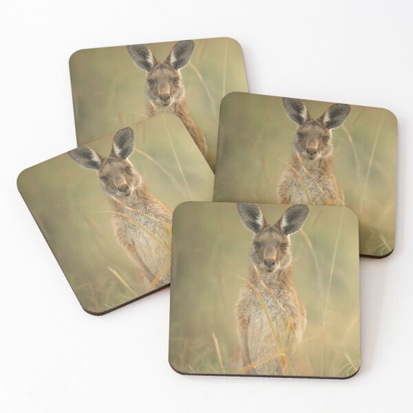 Item preview, Young Eastern Grey Kangaroo designed and sold by robdwildlife.