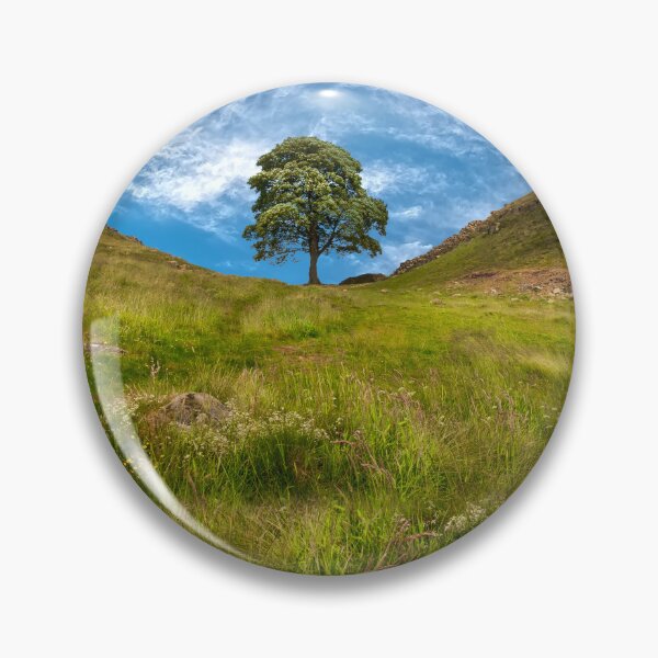 Item preview, Sycamore Gap Northumberland designed and sold by Alisonchambers2.