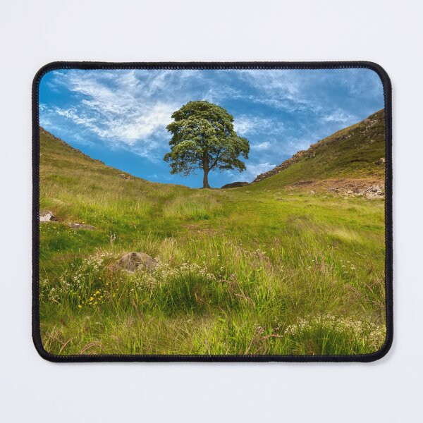 Item preview, Sycamore Gap Northumberland designed and sold by Alisonchambers2.