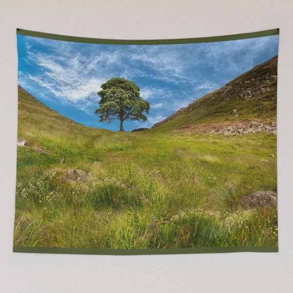 Item preview, Sycamore Gap Northumberland designed and sold by Alisonchambers2.